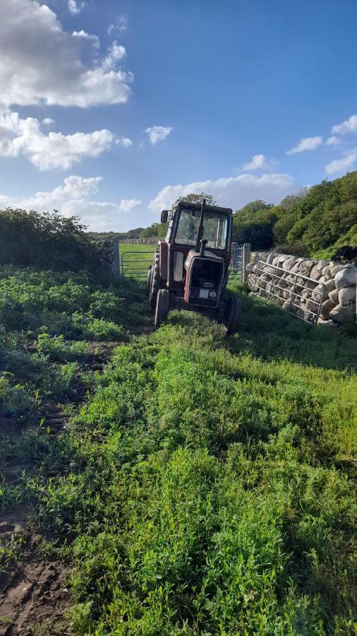 Ballykeel Farm, Mourne Mountains Ballymartin المظهر الخارجي الصورة